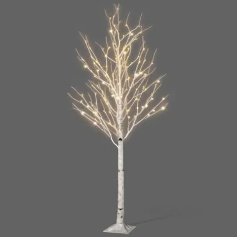 BOXED NETTA BIRCH TREE WITH WARM WHITE LED LIGHTS (1 BOX)