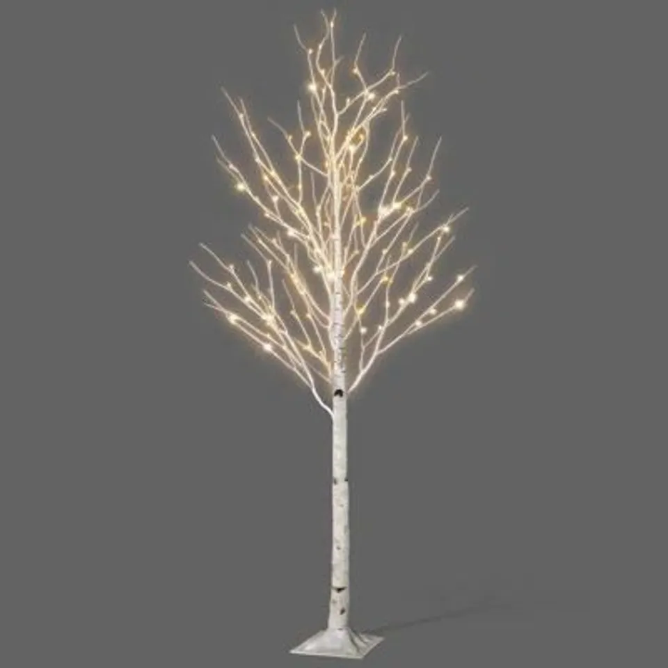 BOXED NETTA BIRCH TREE WITH WARM WHITE LED LIGHTS (1 BOX)