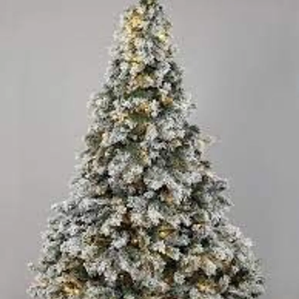 BOXED 7FT FLOCKED PRELIT DOWNSWEPT PINE EFFECT TREE RRP £259.99