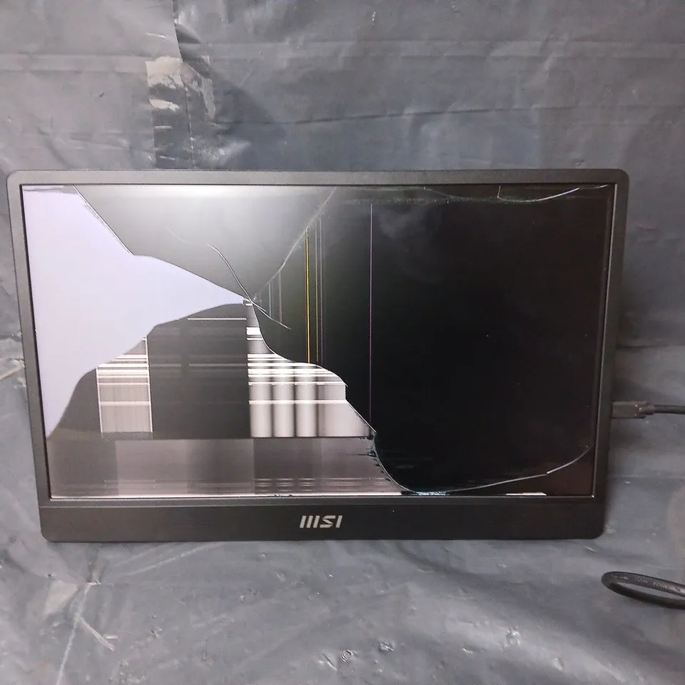 MSI PRO MP161 E2U - 15.6IN - FHD IPS - 60HZ - PORTABLE MONITOR - BLACK