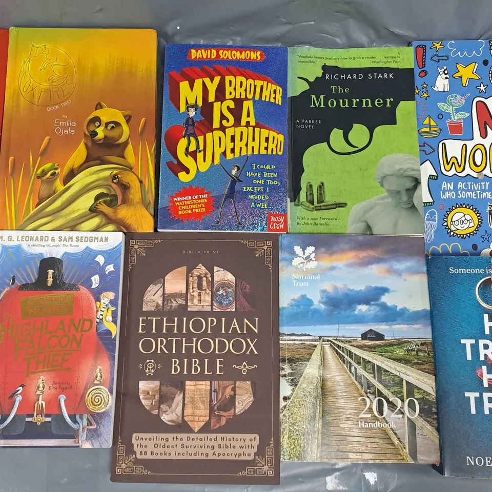 LARGE QUANTITY OF ASSORTED BOOKS BY VARIOUS AUTHORS TO INCLUDE NOELLE HOLTEN, H. D. CARLTON, TAHEREH MAFI, ETC