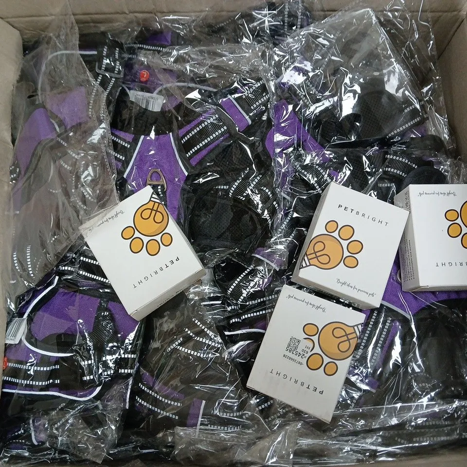 LARGE QUANTITY OF RECHARGABLE LED DOG COLLARS IN VARIOUS SIZES AND DOG HARNESS'S - COLLECTIONO ONLY 