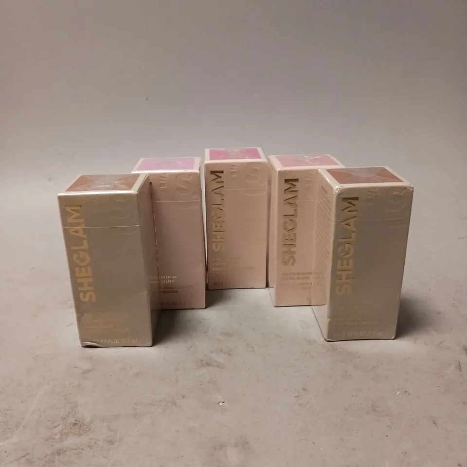 BOXED AND SEALED 5 ASSORTED SHE GLAM HEALTH AND BEAUTY ITEMS TO INCLUDE LIQUID CONTOUR IN SHADE WARM HONEY (5.2ML), LIQUID BLUSH IN SHADES LOVE CAKE, PETAL TALK AND ON POINT (5.2ML)