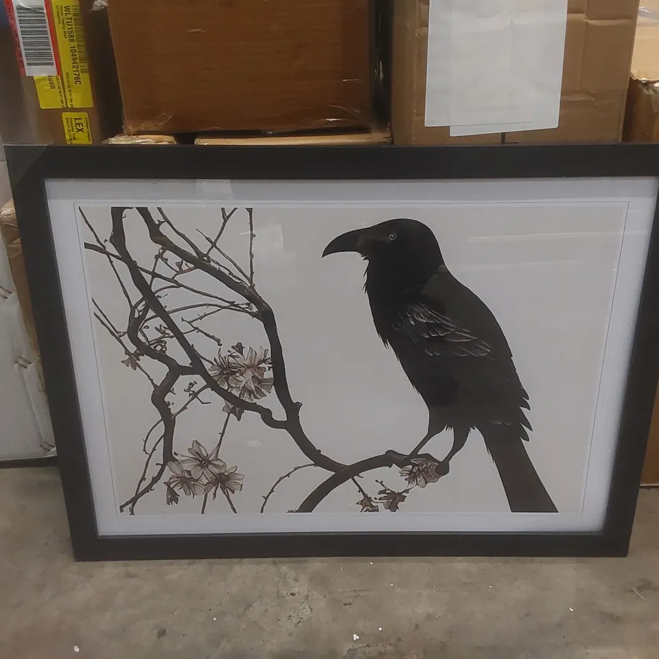 BOXED TERRIFIC CROW BIRD - PICTURE FRAME GRAPHIC ART