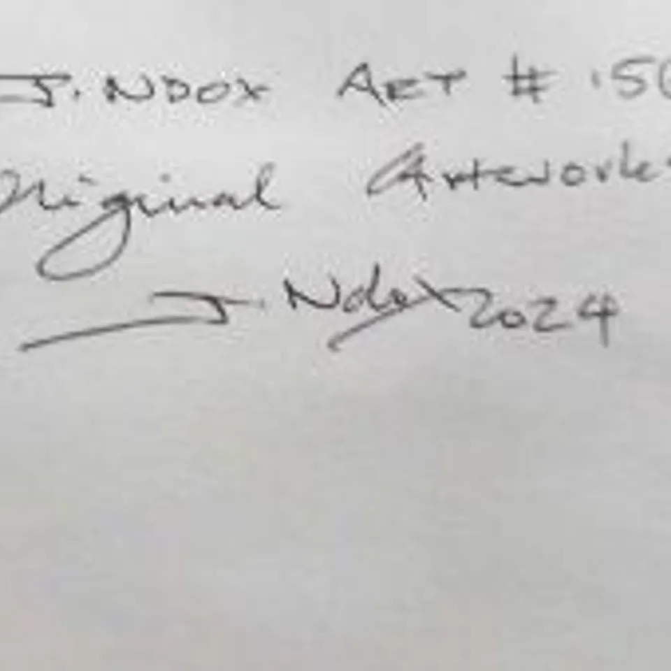 THREE ASSORTED JNDOX SIGNED ORIGINAL ARTWORKS TO INCLUDE; #1561 AND #1563 