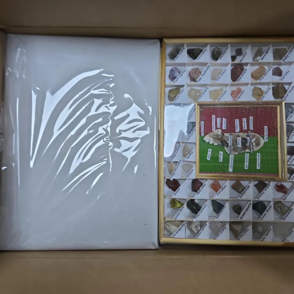 APPROXIMATELY 27 ASSORTED GEMSTONE/ROCK COLLECTIONS IN VARIOUS STYLES