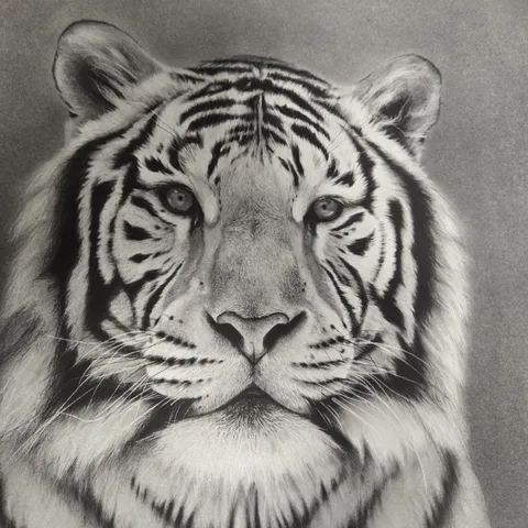 ROBERT BUCHANAN ALBION 2025 LIMITED EDITION GICLEE PRINT – TIGER PORTRAIT (AP 01)