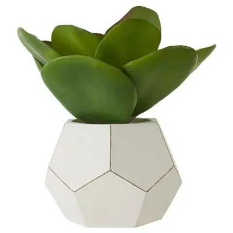BOXED 24CM FAUX SUCCULENT PLANT IN CONCRETE POT