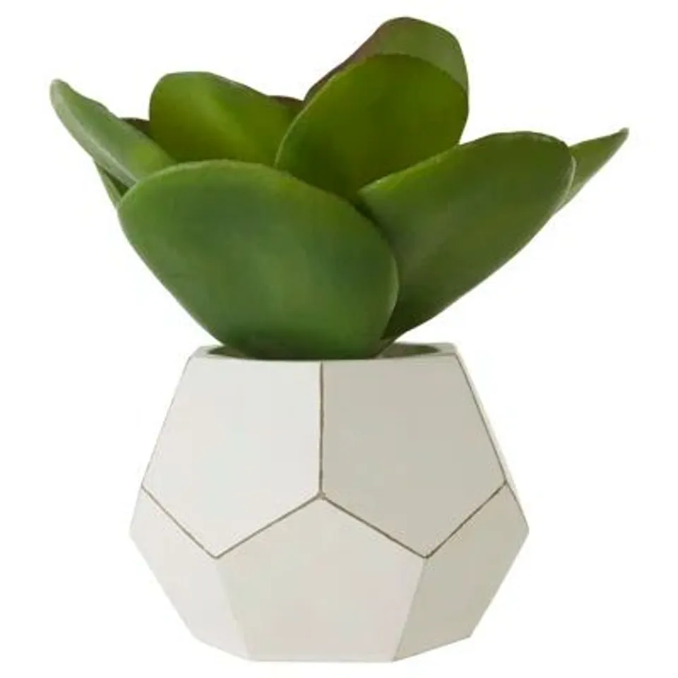 BOXED 24CM FAUX SUCCULENT PLANT IN CONCRETE POT