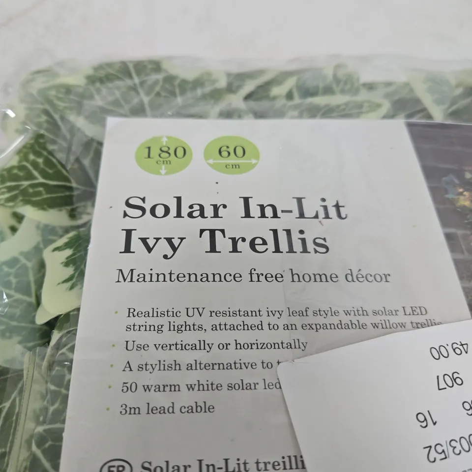 SOLAR IN-LIT IVY TRELLIS – 180 CM X 60 CM
