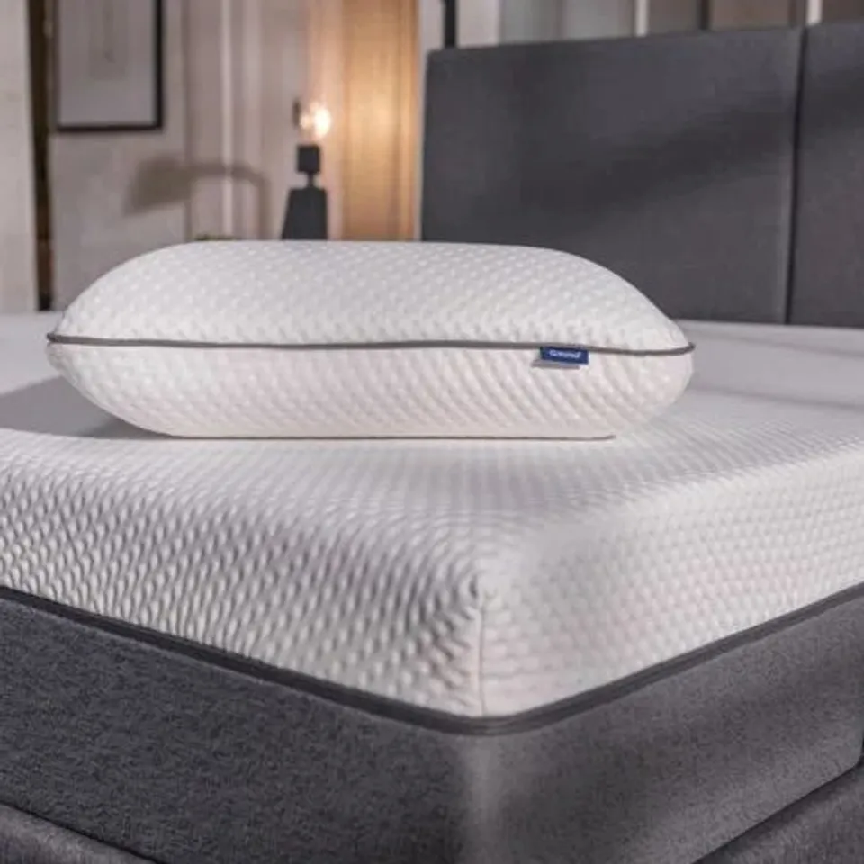 BOXED EMNA ORIGINAL PILLOW 