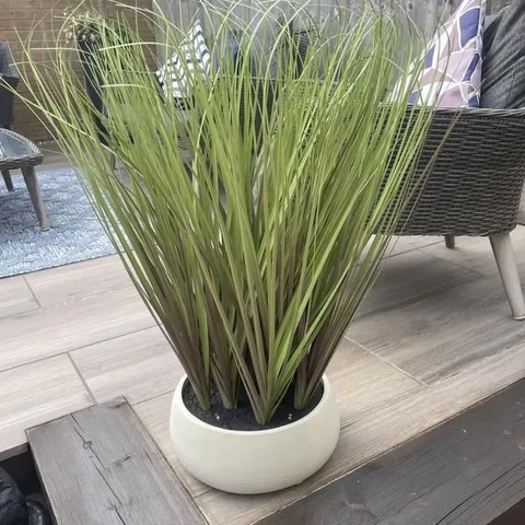 K BY KELLY HOPPEN INDOOR OUTDOOR PRE-LIT LOMANDRA GRASS W/CEMENT POT