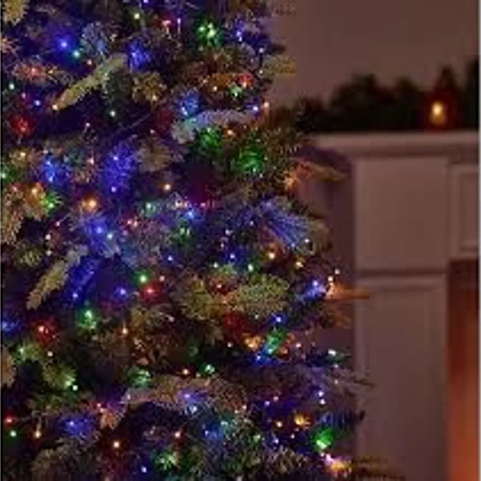 FESTIVE INDOOR OUTDOOR COLOUR CHANGING FUNCTION LIGHTS