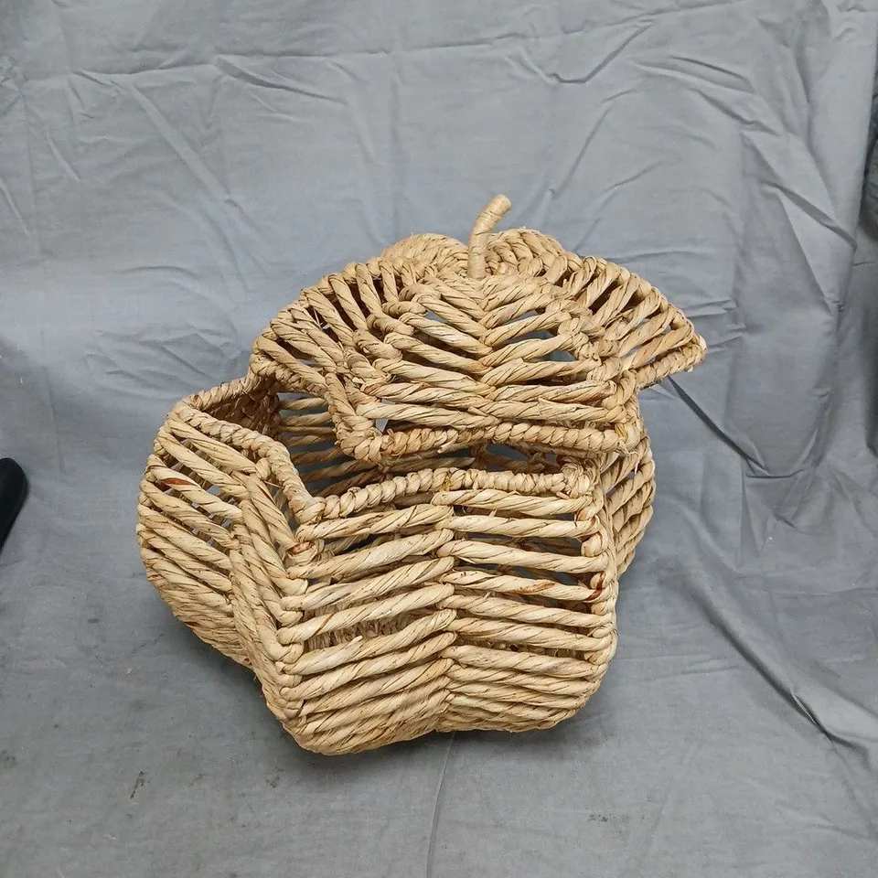 TWISTED BULRUSH WOVEN PUMPKIN STORAGE BASKET