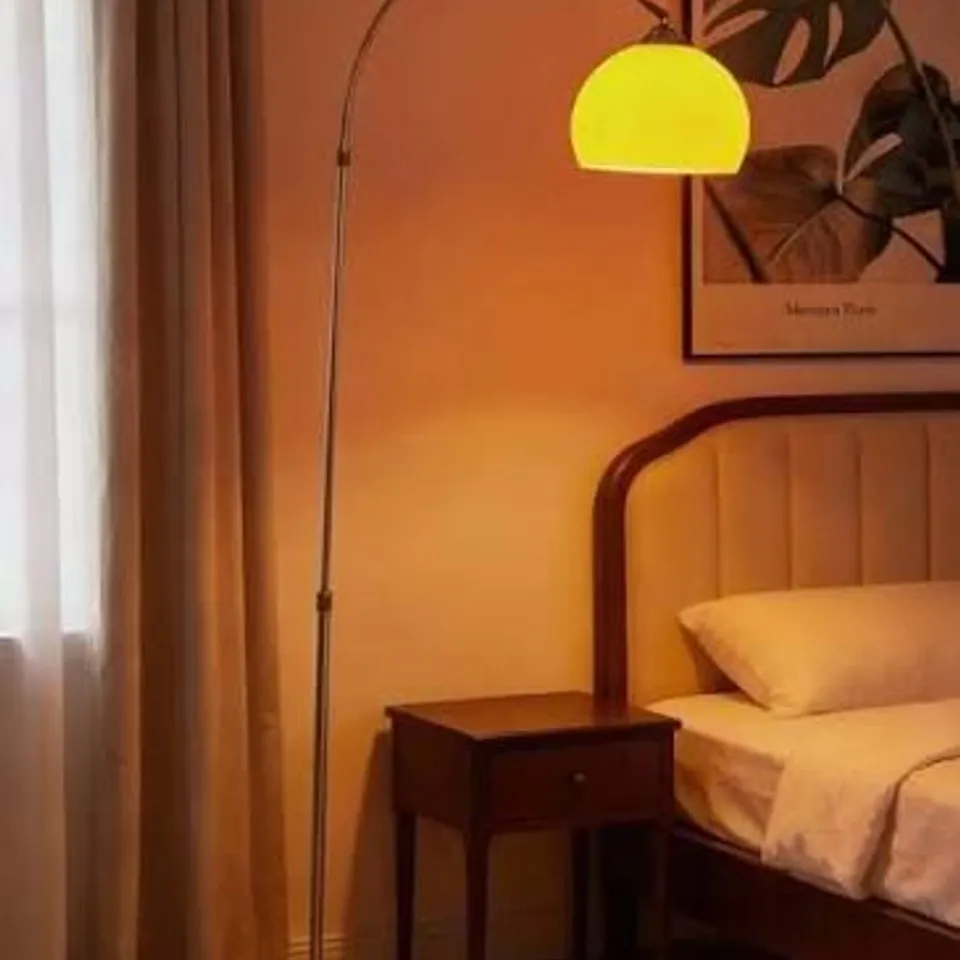 BOXED LIVING AND HOME ARCHED FLOOR LAMP