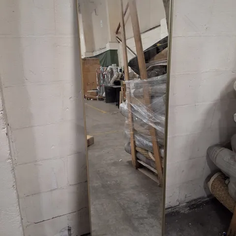 RECTANGLE LEANER CHAMPAGNE FRAME MIRROR 50×170×3CM