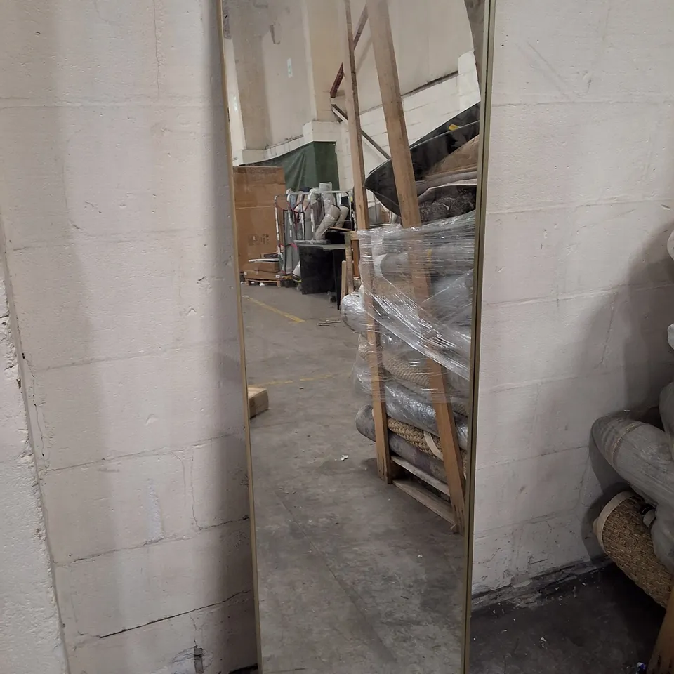 RECTANGLE LEANER CHAMPAGNE FRAME MIRROR 50×170×3CM