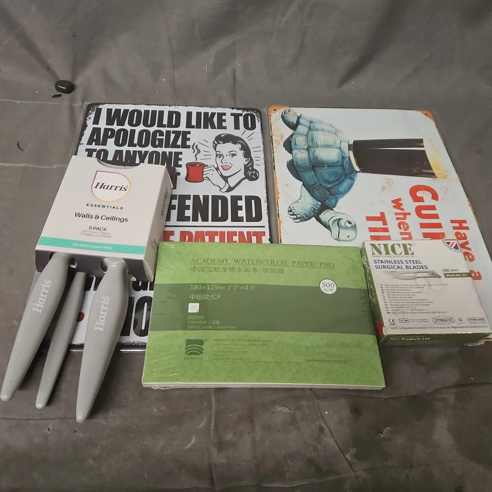 APPROXIMATELY 12 ASSORTED HOUSEHOLD ITEMS TO INCLUDE STAINLESS STEEL SURGICAL BLADES, HARRIS WALLS & CEILINGS 5 PACK, ACADEMY WATERCOLOR PAPER PAD, ETC - COLLECTION ONLY