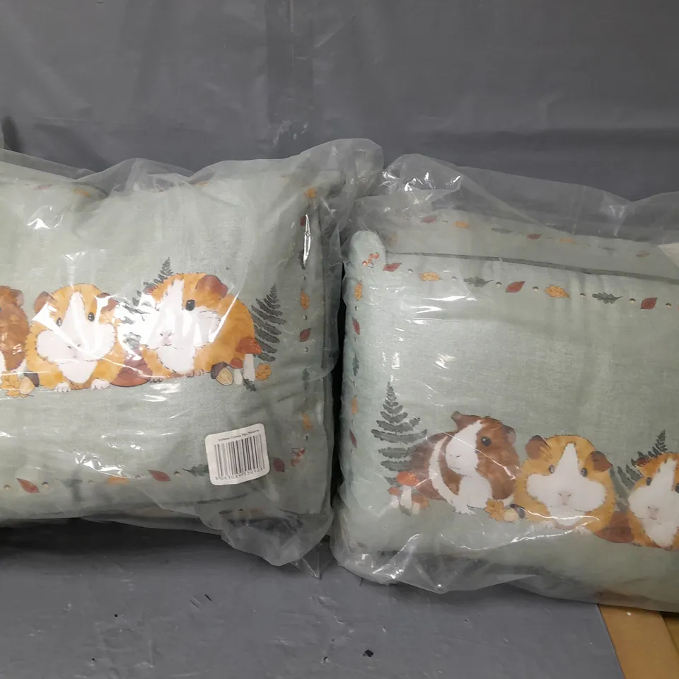 LOT OF 4 GUINEA PIG CUSHIONS