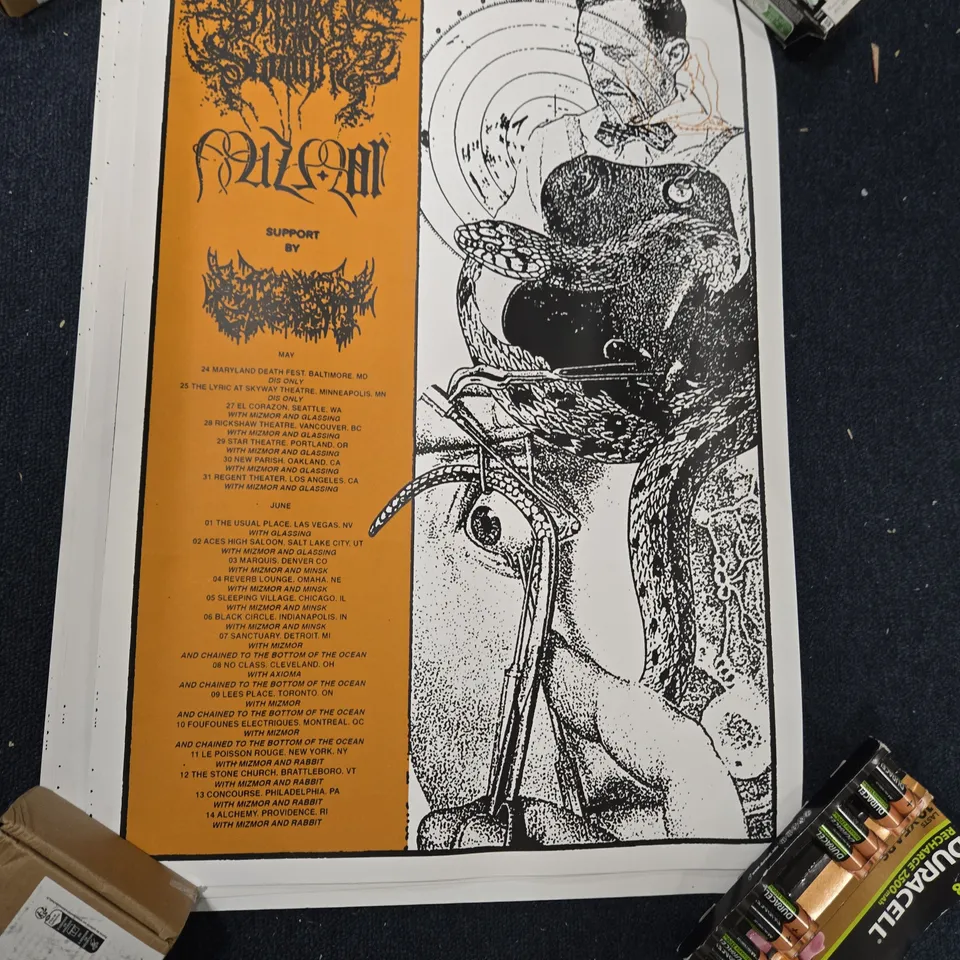 eight assorted dragged into sunlight Concert Posters