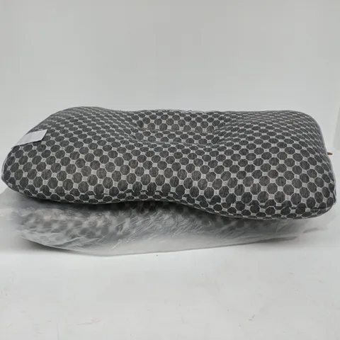 SET OF 2 PILLLOWS