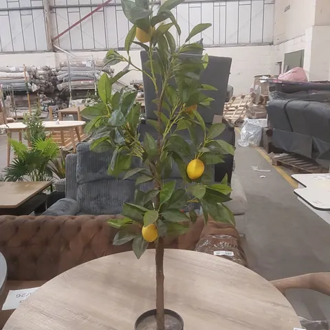 ARTIFICIAL POTTED LEMON PLANT