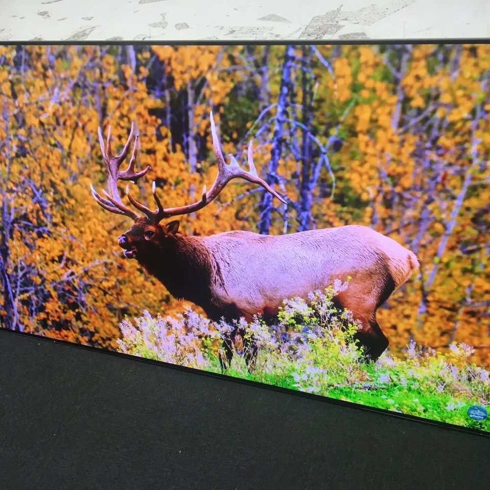 BOXED SAMSUNG QE65S95B 65 INCH 4K ULTRA HDR 1500 SMART OLED TV WITH MAINS LEAD, STAND AND REMOTE 