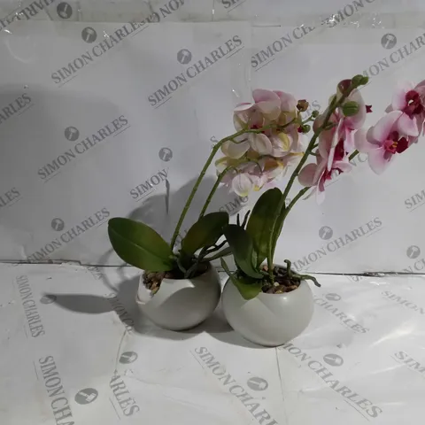 HOME REFLECTIONS SET OF 2 REAL TOUCH ORCHIDS IN A CERAMIC POT IN PINK