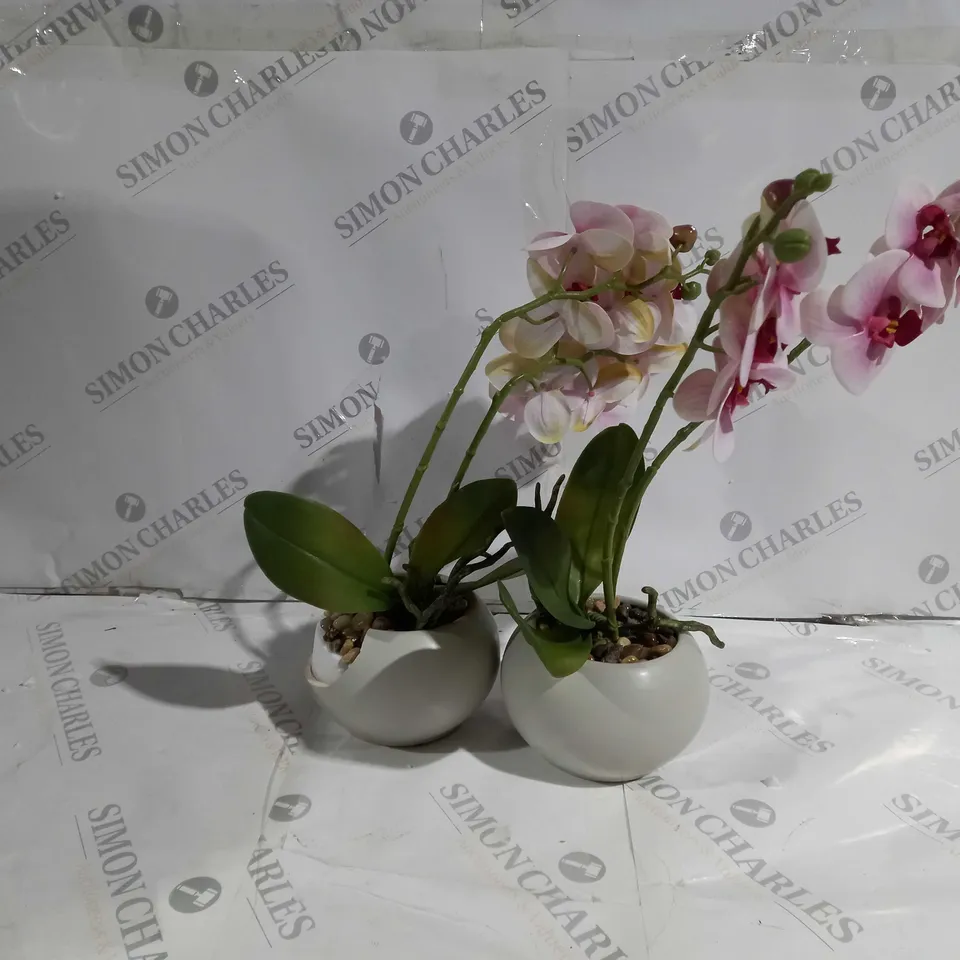 HOME REFLECTIONS SET OF 2 REAL TOUCH ORCHIDS IN A CERAMIC POT IN PINK