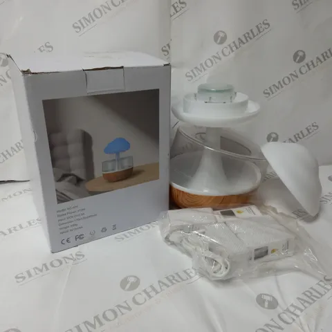 BOXED RAIN CLOUD HUMIDIFIER