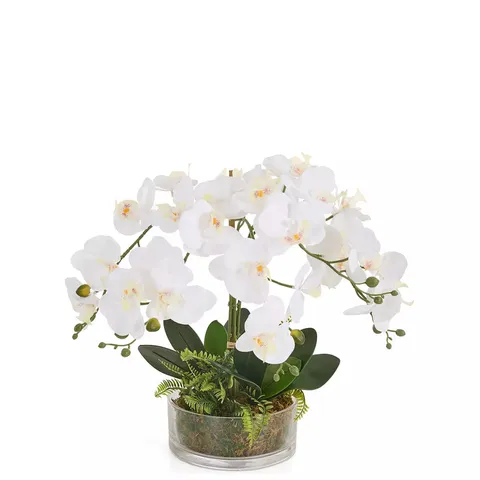 REAL TOUCH 5-STEM FAUX ORCHID WITH FERN IN GLASS POT