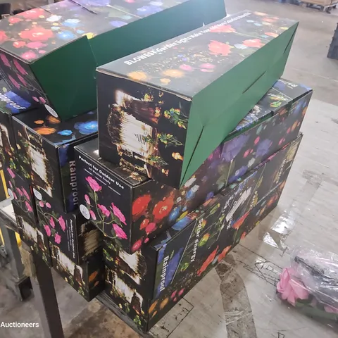 ELEVEN BOXED SOLAR GARDEN LIGHTS