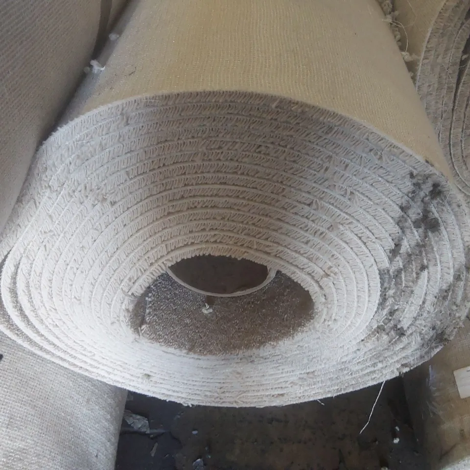 ROLL OF QUALITY DIMENSION PLAINS CARPET - APPROXIMATELY 5 x 11.9m