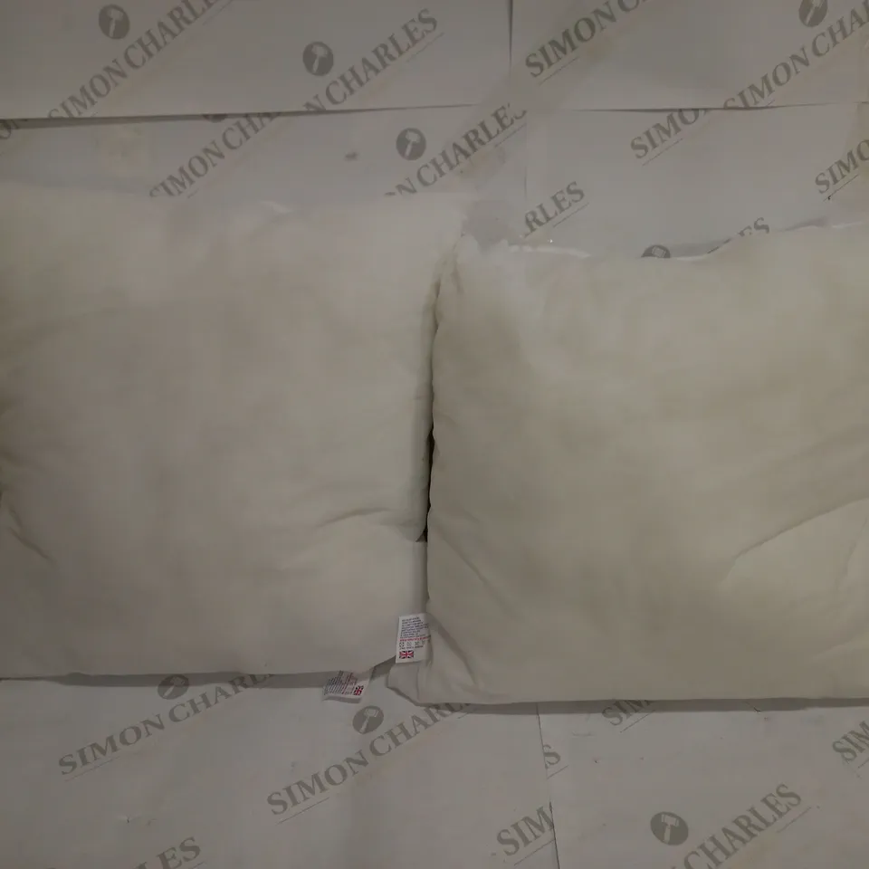 PAIR OF CUSHIONS IN WHITE