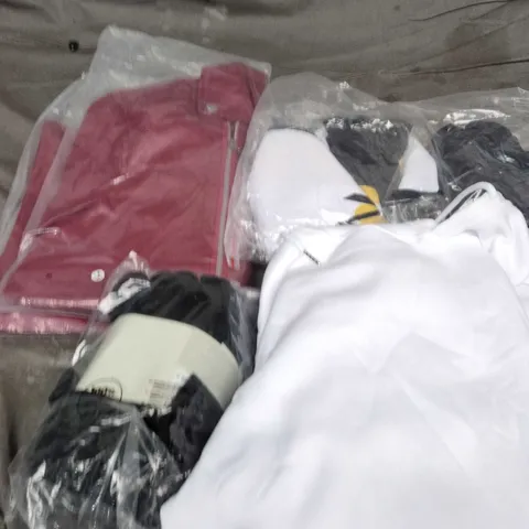 APPROXIMATELY 20 ASSORTED CLOTHING PRODUCTS IN VARIOUS STYLES & SIZES TO INCLUDE JUMPERS, T-SHIRTS, DRESSES ETC