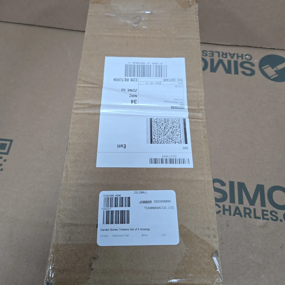 GARDEN STORIES TIMELESS SET OF 5 GOSLINGS 