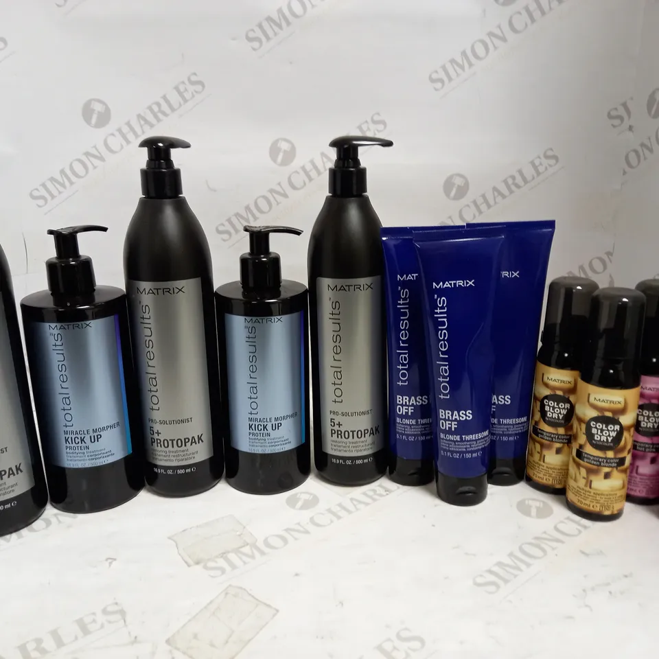 LOT OF 12 ASSORTED MATRIX HAIR CARE PRODUCTS