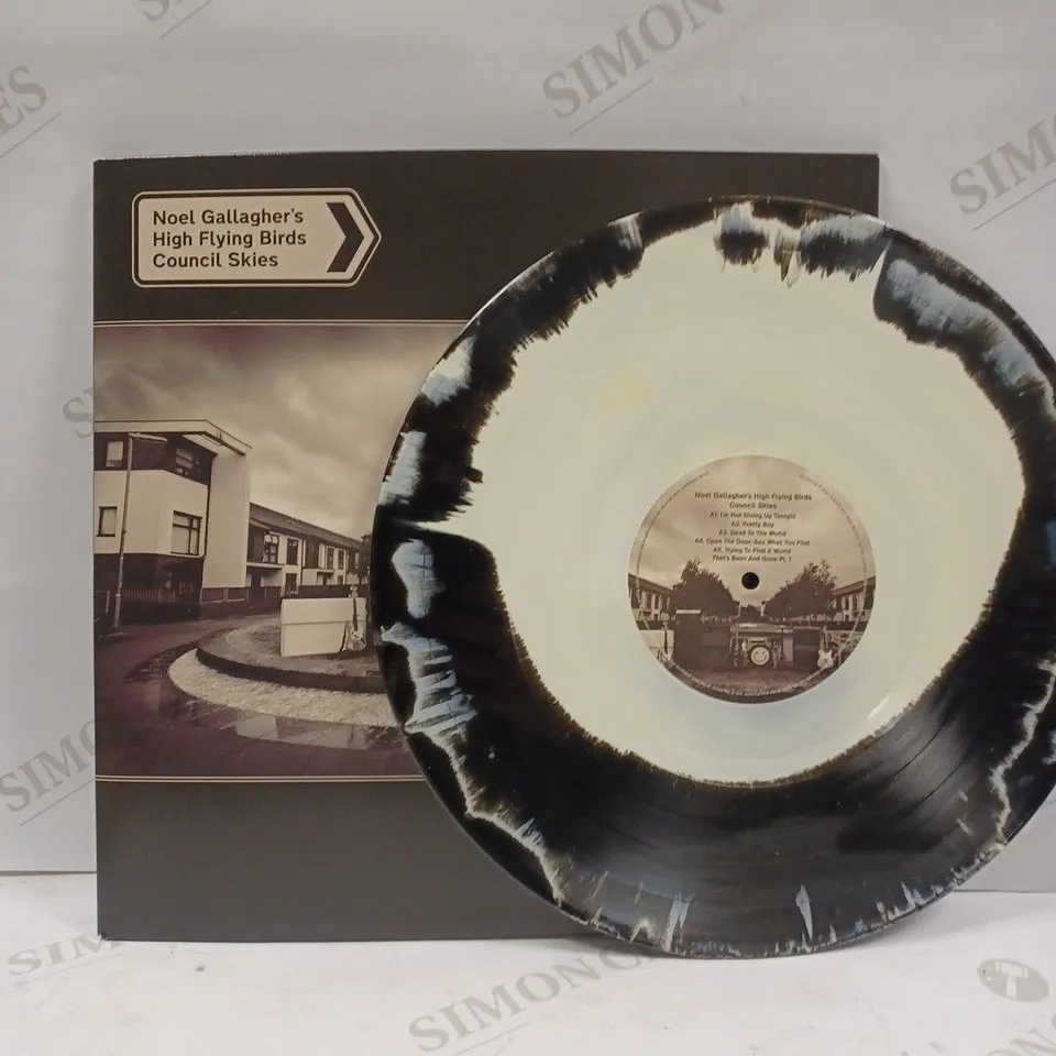 NOEL GALLAGHER'S "HIGH FLYING BIRDS COUNCIL SKIES" VINYL  
