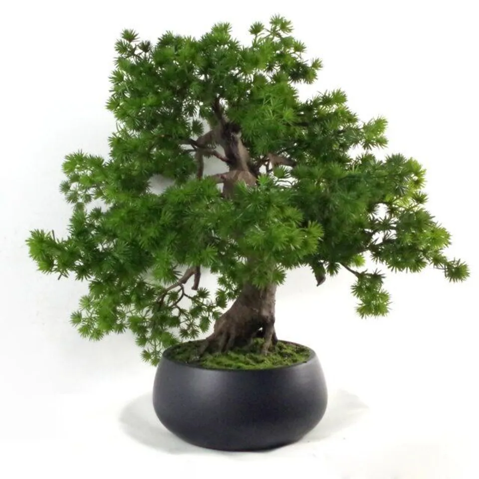 BOXED 50CM FAUX BONSAI PLANT IN CERAMIC POT