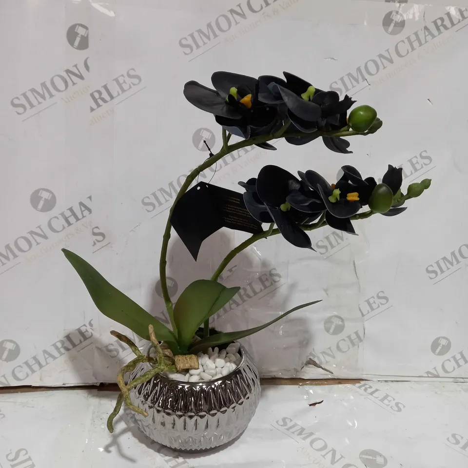 FAUX 2 STEM ORCHID BLACK