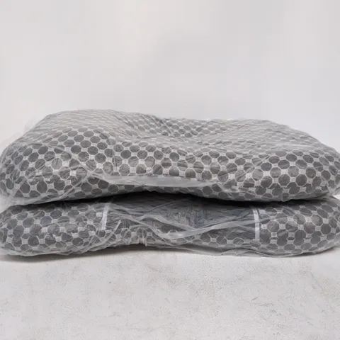 SET OF 2 PILLOWS