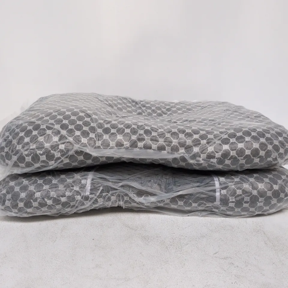 SET OF 2 PILLOWS