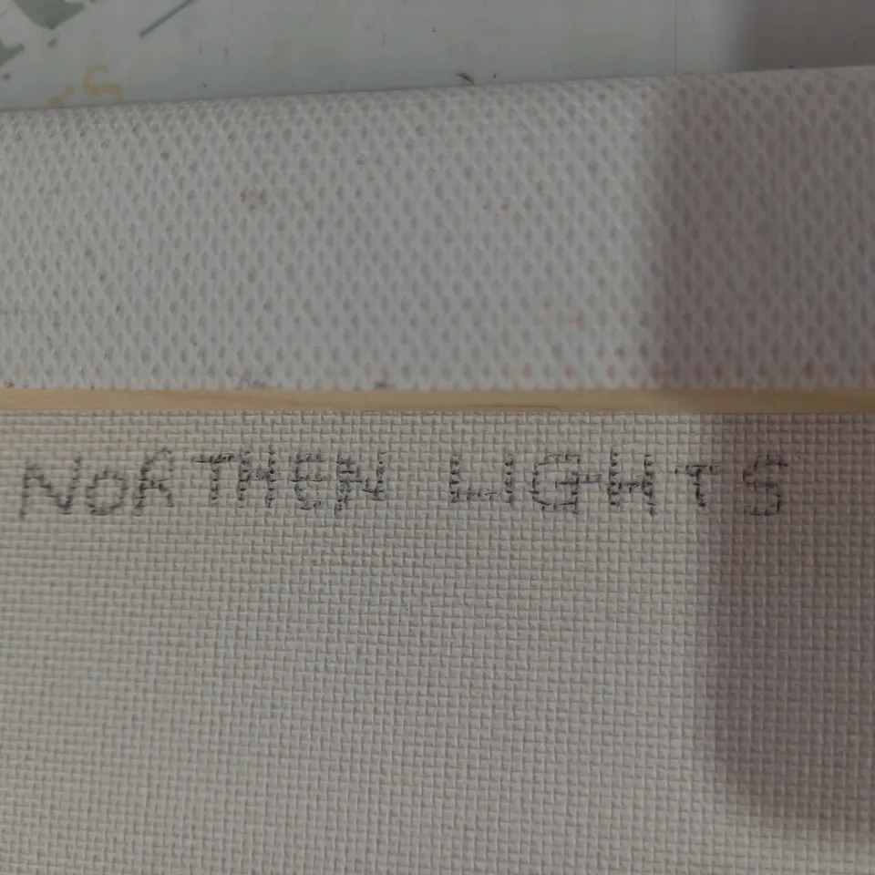 PATRICIA GRAHAM 2022 NORTHEN LIGHTS CANVAS ART