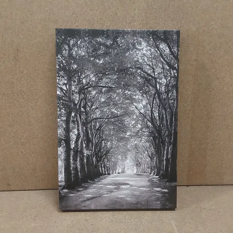 BOXED BLACK AND WHITE WOODLAND WALK WRAPPED CANVAS PRINT