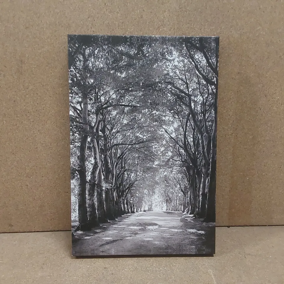BOXED BLACK AND WHITE WOODLAND WALK WRAPPED CANVAS PRINT