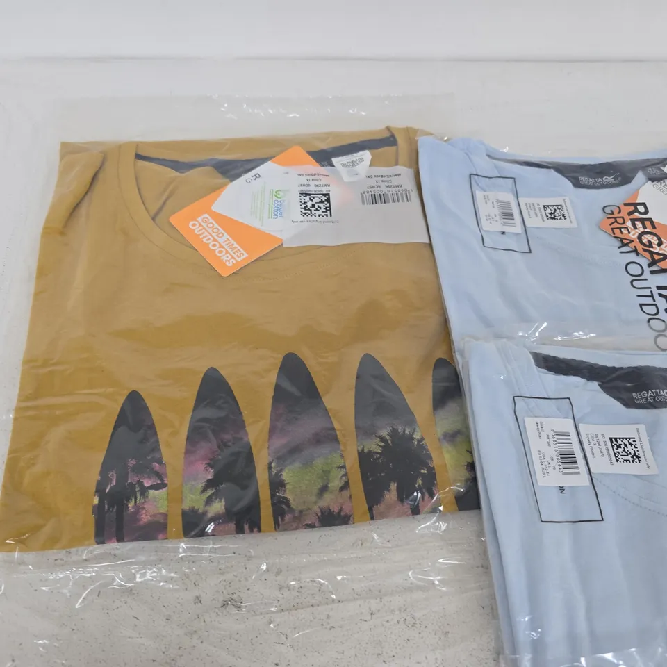 LOT OF 10 ASSORTED BRAND NEW REGATTA T-SHIRTS IN VARIOUS STYLES, COLOURS AND SIZES