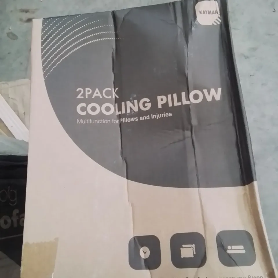 BOXED 2 PACK COOLING PILLOWS