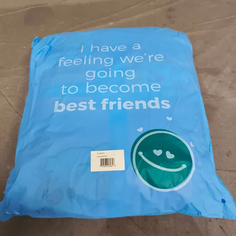 SEALED OODIE OVERSIZED HOODED BLANKET - PIG