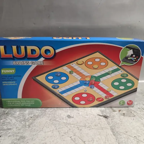 LUDO BRAINS GAME 