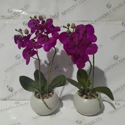 BOX OF 2 SYNTHETIC FLOWERS AND POT
